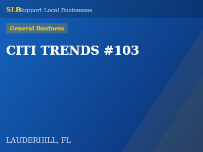 CITI TRENDS #103 — General Business in LAUDERHILL, FL