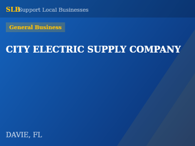 CITY ELECTRIC SUPPLY COMPANY — General Business in DAVIE, FL