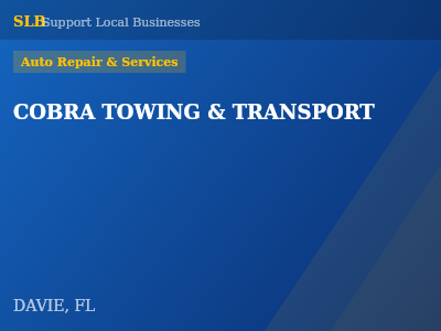 COBRA TOWING & TRANSPORT — Auto Repair & Services in DAVIE, FL