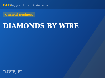 DIAMONDS BY WIRE — General Business in DAVIE, FL