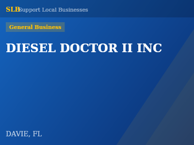 DIESEL DOCTOR II INC — General Business in DAVIE, FL