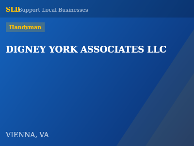 DIGNEY YORK ASSOCIATES LLC — Handyman in VIENNA, VA