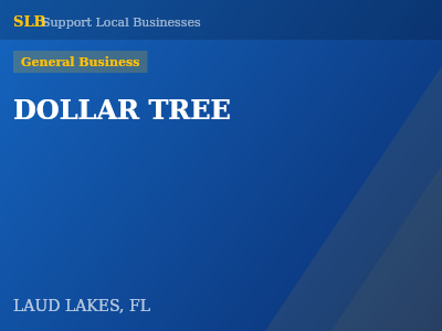 DOLLAR TREE — General Business in LAUD LAKES, FL