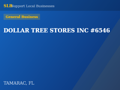 DOLLAR TREE STORES INC #6546 — General Business in TAMARAC, FL