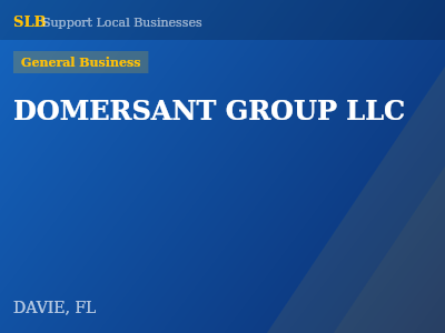 DOMERSANT GROUP LLC — General Business in DAVIE, FL