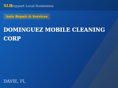 DOMINGUEZ MOBILE CLEANING CORP — Auto Repair & Services in DAVIE, FL