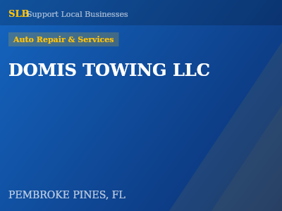 DOMIS TOWING LLC — Auto Repair & Services in PEMBROKE PINES, FL