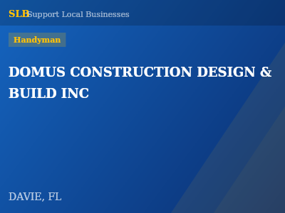 DOMUS CONSTRUCTION DESIGN & BUILD INC — Handyman in DAVIE, FL