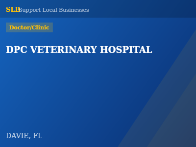 DPC VETERINARY HOSPITAL — Doctor/Clinic in DAVIE, FL