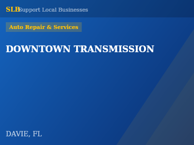 DOWNTOWN TRANSMISSION — Auto Repair & Services in DAVIE, FL
