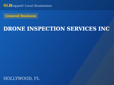 DRONE INSPECTION SERVICES INC — General Business in HOLLYWOOD, FL