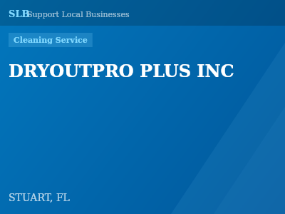 DRYOUTPRO PLUS INC — Cleaning Service in STUART, FL