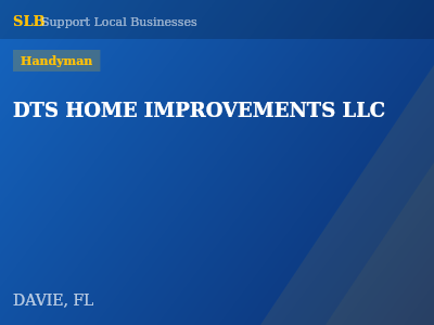 DTS HOME IMPROVEMENTS LLC — Handyman in DAVIE, FL