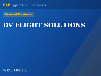 DV FLIGHT SOLUTIONS — General Business in WESTON, FL