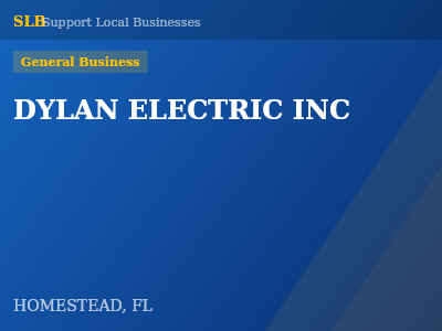 DYLAN ELECTRIC INC — General Business in HOMESTEAD, FL