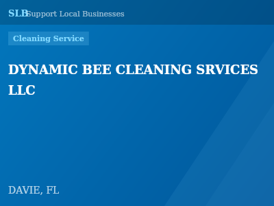 DYNAMIC BEE CLEANING SRVICES LLC — Cleaning Service in DAVIE, FL