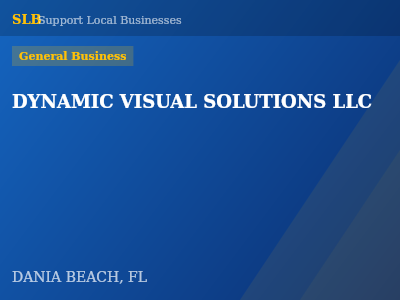 DYNAMIC VISUAL SOLUTIONS LLC — General Business in DANIA BEACH, FL