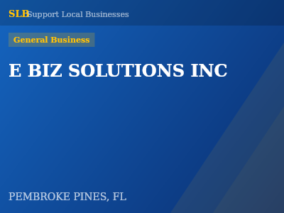 E BIZ SOLUTIONS INC — General Business in PEMBROKE PINES, FL