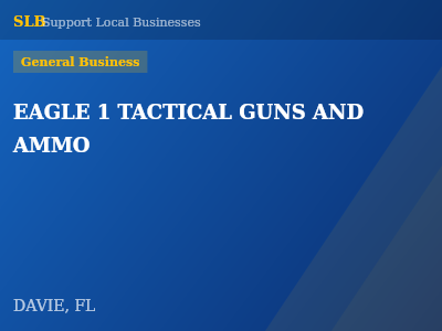 EAGLE 1 TACTICAL GUNS AND AMMO — General Business in DAVIE, FL