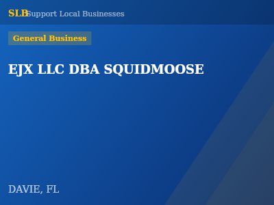 EJX LLC DBA SQUIDMOOSE — General Business in DAVIE, FL