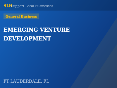 EMERGING VENTURE DEVELOPMENT — General Business in FT LAUDERDALE, FL