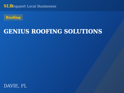 GENIUS ROOFING SOLUTIONS — Roofing in DAVIE, FL