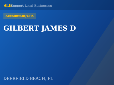 GILBERT JAMES D — Accountant/CPA in DEERFIELD BEACH, FL