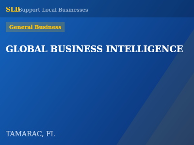 GLOBAL BUSINESS INTELLIGENCE — General Business in TAMARAC, FL