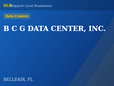 B C G DATA CENTER, INC. — Data Centers in BELLEAIR, FL