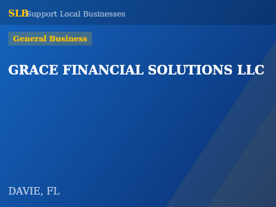 GRACE FINANCIAL SOLUTIONS LLC — General Business in DAVIE, FL