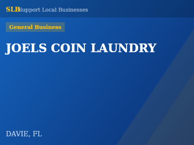JOELS COIN LAUNDRY — General Business in DAVIE, FL