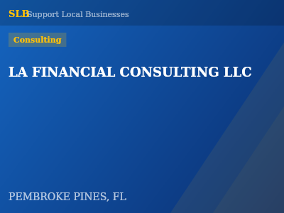 LA FINANCIAL CONSULTING LLC — Consulting in PEMBROKE PINES, FL