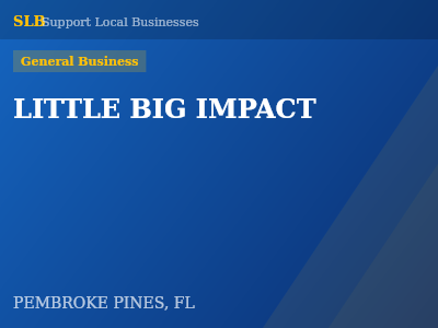 LITTLE BIG IMPACT — General Business in PEMBROKE PINES, FL