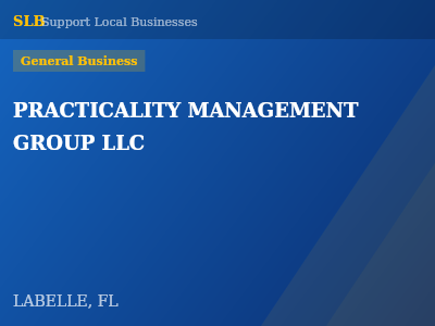 PRACTICALITY MANAGEMENT GROUP LLC — General Business in LABELLE, FL