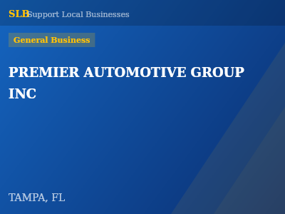 PREMIER AUTOMOTIVE GROUP INC — General Business in TAMPA, FL