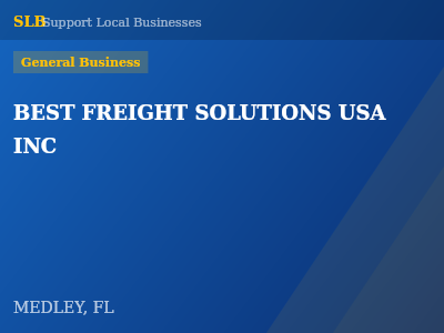 BEST FREIGHT SOLUTIONS USA INC — General Business in MEDLEY, FL