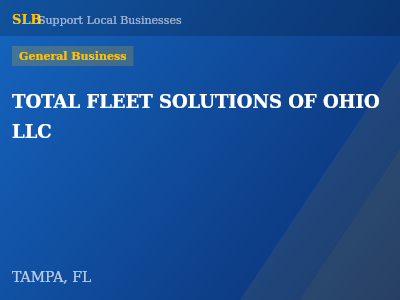 TOTAL FLEET SOLUTIONS OF OHIO LLC — General Business in TAMPA, FL