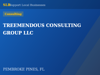 TREEMENDOUS CONSULTING GROUP LLC — Consulting in PEMBROKE PINES, FL