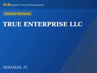 TRUE ENTERPRISE LLC — General Business in MIRAMAR, FL