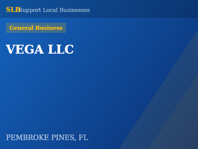 VEGA LLC — General Business in PEMBROKE PINES, FL