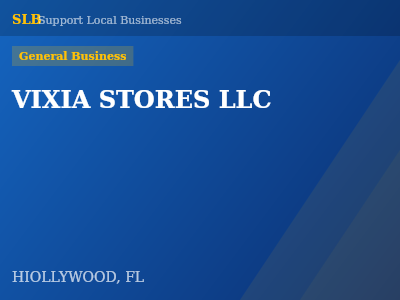 VIXIA STORES LLC — General Business in HIOLLYWOOD, FL