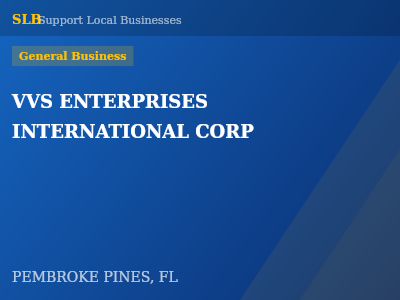 VVS ENTERPRISES INTERNATIONAL CORP — General Business in PEMBROKE PINES, FL