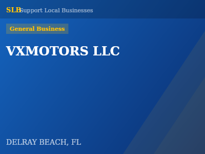 VXMOTORS LLC — General Business in DELRAY BEACH, FL