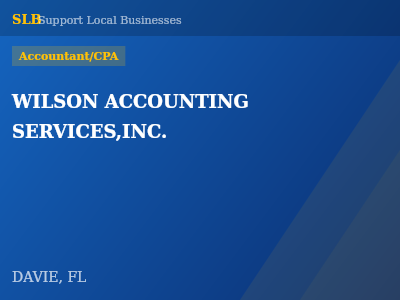 WILSON ACCOUNTING SERVICES,INC. — Accountant/CPA in DAVIE, FL
