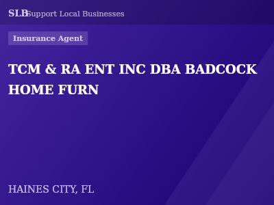 TCM & RA ENT INC DBA BADCOCK HOME FURN — Insurance Agent in HAINES CITY, FL