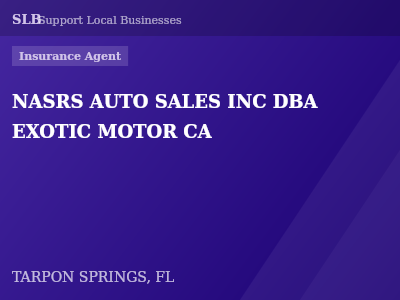 NASRS AUTO SALES INC DBA EXOTIC MOTOR CA — Insurance Agent in TARPON SPRINGS, FL