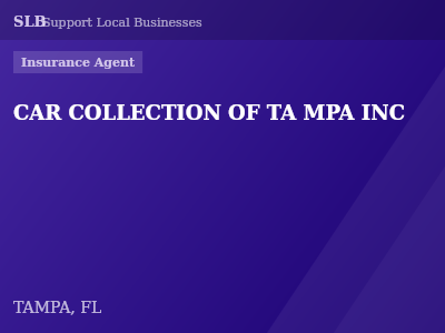 CAR COLLECTION OF TA MPA INC — Insurance Agent in TAMPA, FL