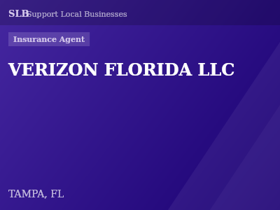 VERIZON FLORIDA LLC — Insurance Agent in TAMPA, FL