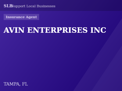 AVIN ENTERPRISES INC — Insurance Agent in TAMPA, FL
