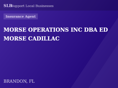 MORSE OPERATIONS INC DBA ED MORSE CADILLAC — Insurance Agent in BRANDON, FL